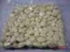 Garlic Cloves