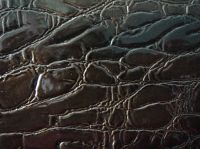 Synthetic Leather