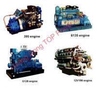 Chinese Marine Propulsion Engine (395, 6135, G128, 12V)