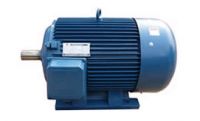 Ac Motor
