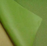 Coated fabric ( PA/PU/PVC/Silver/Milky coating )