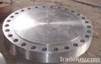 Blind flange