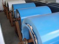 Prepainted Galvanized  strips(coil)