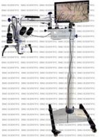 Dental Microscope