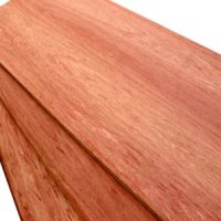 Bintangor plywood