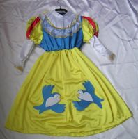 Princess dress up  Costume