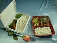 Fast food tray/container/dish From China