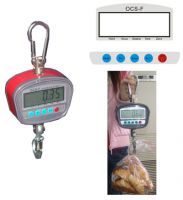 Portable Crane Scale