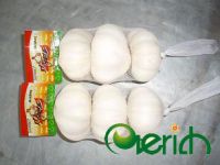 Fresh Garlic