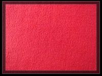 polar fleece fabric From China