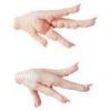Chicken Feet, cobb broiler chicks