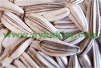 6.5 Mm Sunflower Seeds