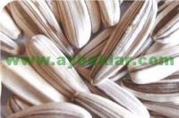 6mm Sunflower Seeds