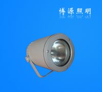 popular spotlights