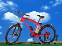Electronic Bicycles