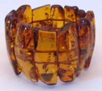 amber jewelry- amber necklace, amber bracelet, amber rings, insect