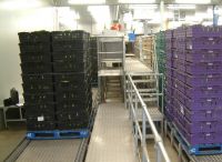 pallet conveyors