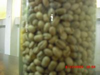 Rice, Green Coffee Arabica, Green Coffee