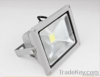 LED Flood Light (Waterproof)