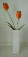 colored glass vase