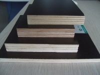 film-faced plywood