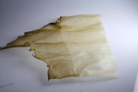 Rawhide Chip