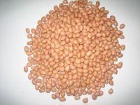 PEANUT KERNELS(ROUND SHAPE)