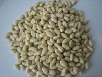 BLANCHED PEANUT KERNELS(LONG SHAPE)