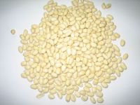 BLANCHED PEANUT KERNELS(ROUND SHAPE)