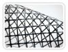 Geogrid(ACEGrid