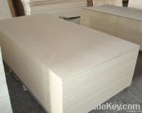 poplar plywood