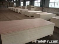 Okoume plywood