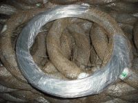 electro galvanized iron wire From China