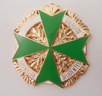 Lapel pins