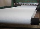 Press Felt