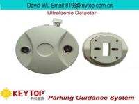 Advanced Parking Guidance System