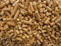 Horse Bedding