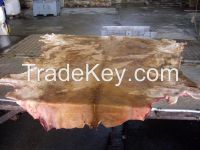 CALF SKIN