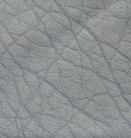 Dingsheng Leather