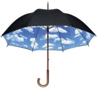 stick umbrella