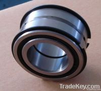 Full Complement Cylindrical Roller Bearing