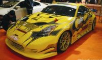 MT-250 Car Body Sticker For