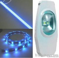 Rope LED/LED Strip/ LED Light Bar and LED Street Light