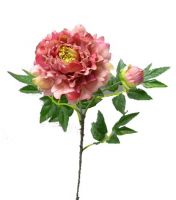 wedding flower peony