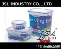 Plastic Container Mould