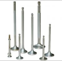 Exhaust valve spindle