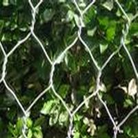 hexagonal wire mesh