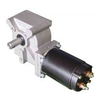 Right Angle Gear Motor DC Worm Gear Motor