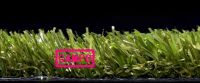 NM-001, CAMPO 206416, Artificial Lawn