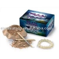 Pearl Bracelet dig &amp; assembly kit, 12pcs per display.